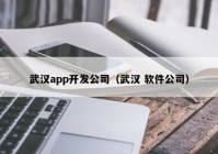 武汉app开发公司（武汉 软件公司）