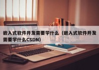 嵌入式软件开发需要学什么（嵌入式软件开发需要学什么CSDN）