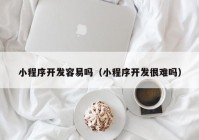 小程序开发容易吗（小程序开发很难吗）