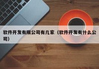 软件开发有限公司有几家（软件开发有什么公司）