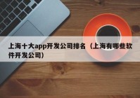 上海十大app开发公司排名（上海有哪些软件开发公司）