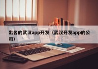 出名的武汉app开发（武汉开发app的公司）