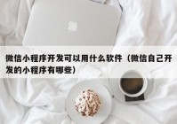 微信小程序开发可以用什么软件（微信自己开发的小程序有哪些）