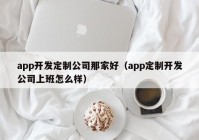 app开发定制公司那家好（app定制开发公司上班怎么样）