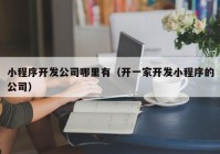 小程序开发公司哪里有（开一家开发小程序的公司）