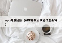 app开发团队（APP开发团队协作怎么写）