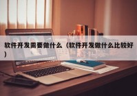 软件开发需要做什么（软件开发做什么比较好）