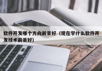 软件开发哪个方向前景好（现在学什么软件开发技术前景好）