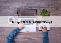 公用app开发平台（政府开发app）